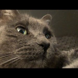 Meet your Posher, Kim